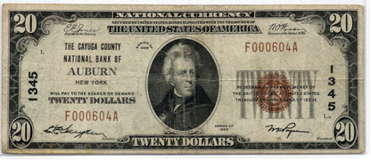 1929 $20 Cayuga County NB of Auburn New York CH# 1345