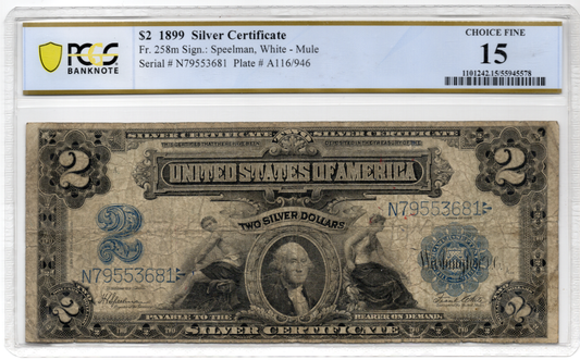 FR 258m 1899 $2 Silver Certificate Mule